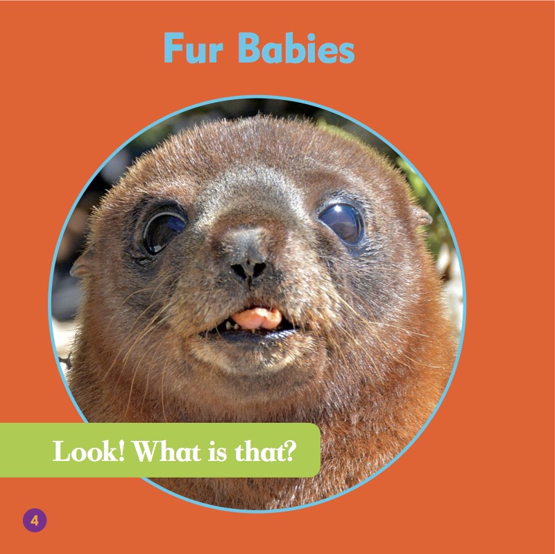 Animal Classification: Mammals — page 1