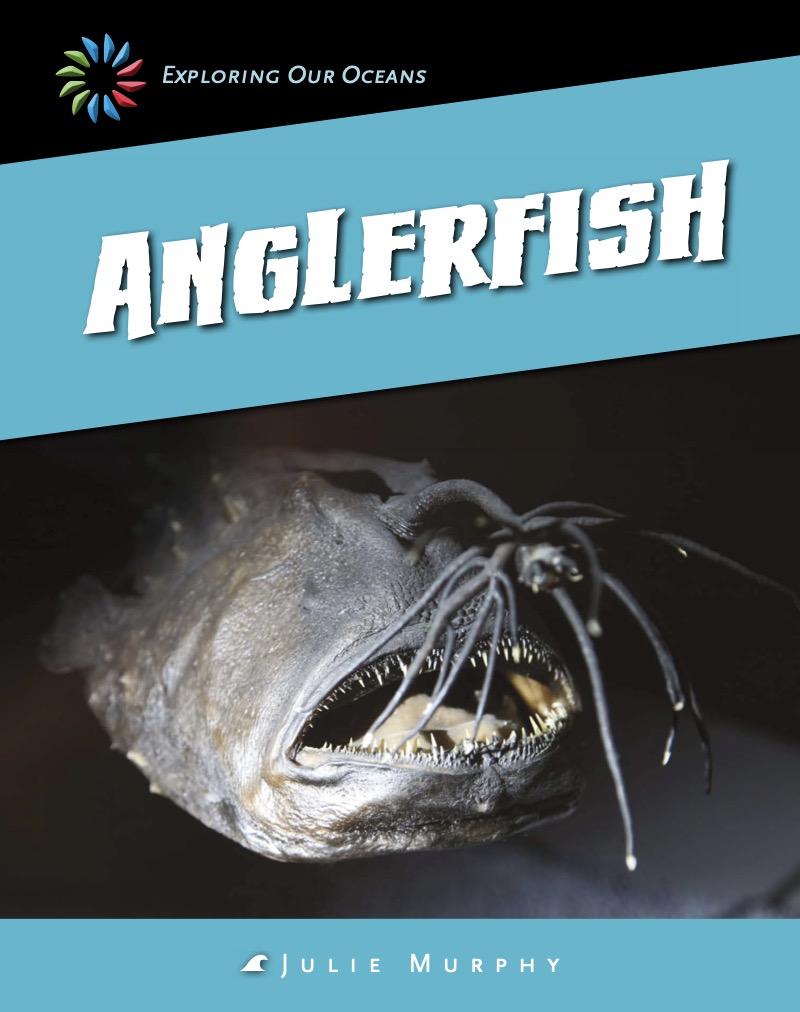 Anglerfish book cover
