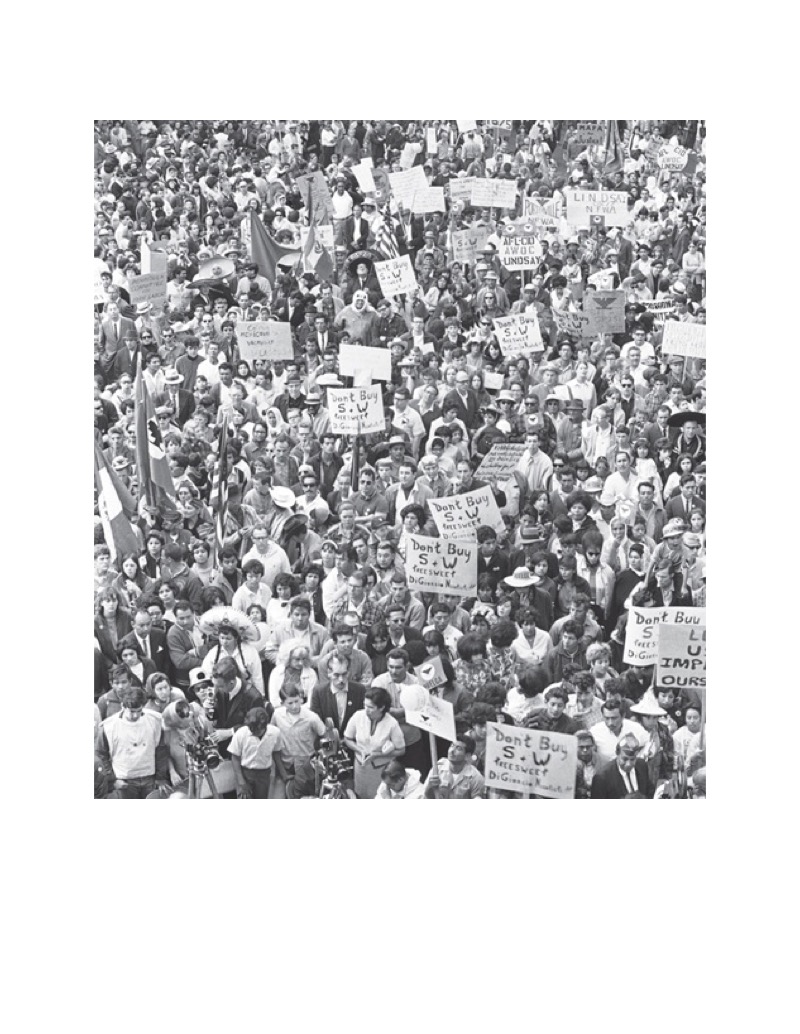 Strike!: The Farm Workers' Fight for Their Rights book cover