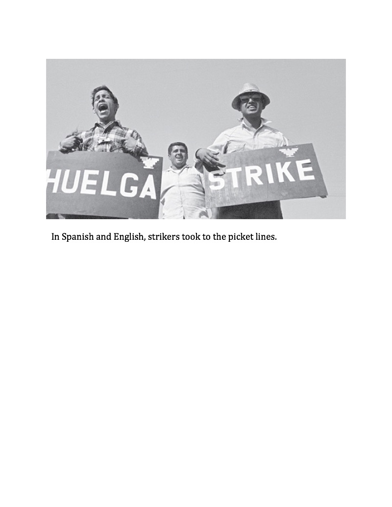 Strike!: The Farm Workers' Fight for Their Rights — page 1