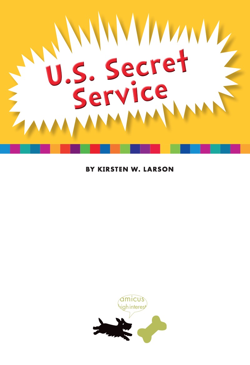 U.S. Secret Service book cover