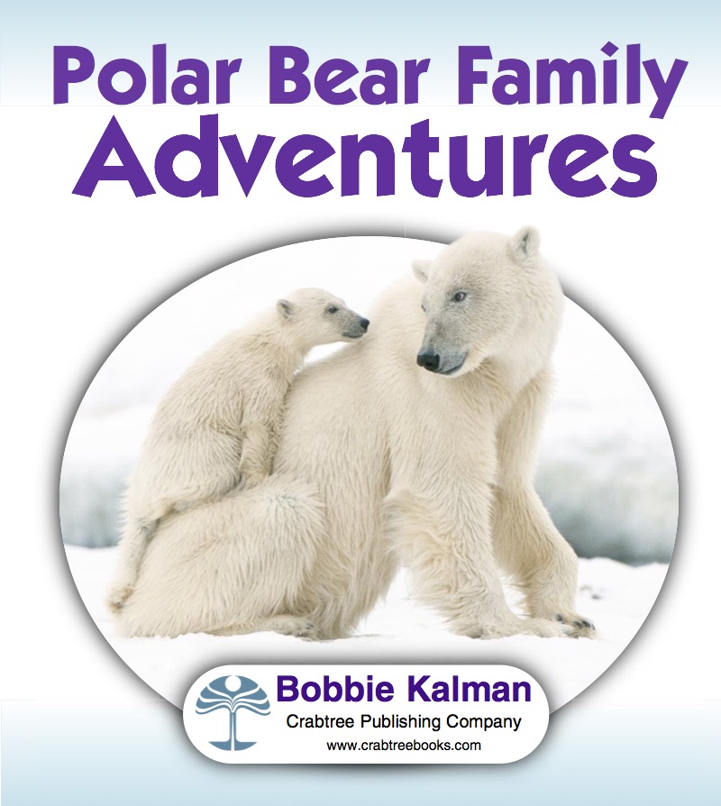 Polar Bear Family Adventures book cover