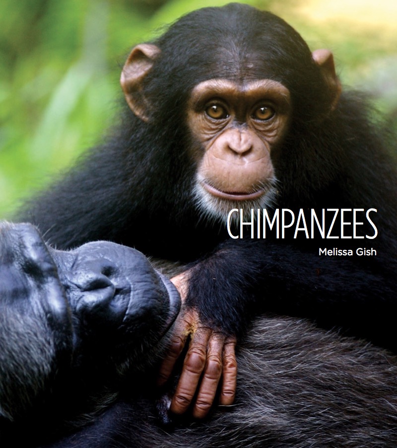 Chimpanzees book cover