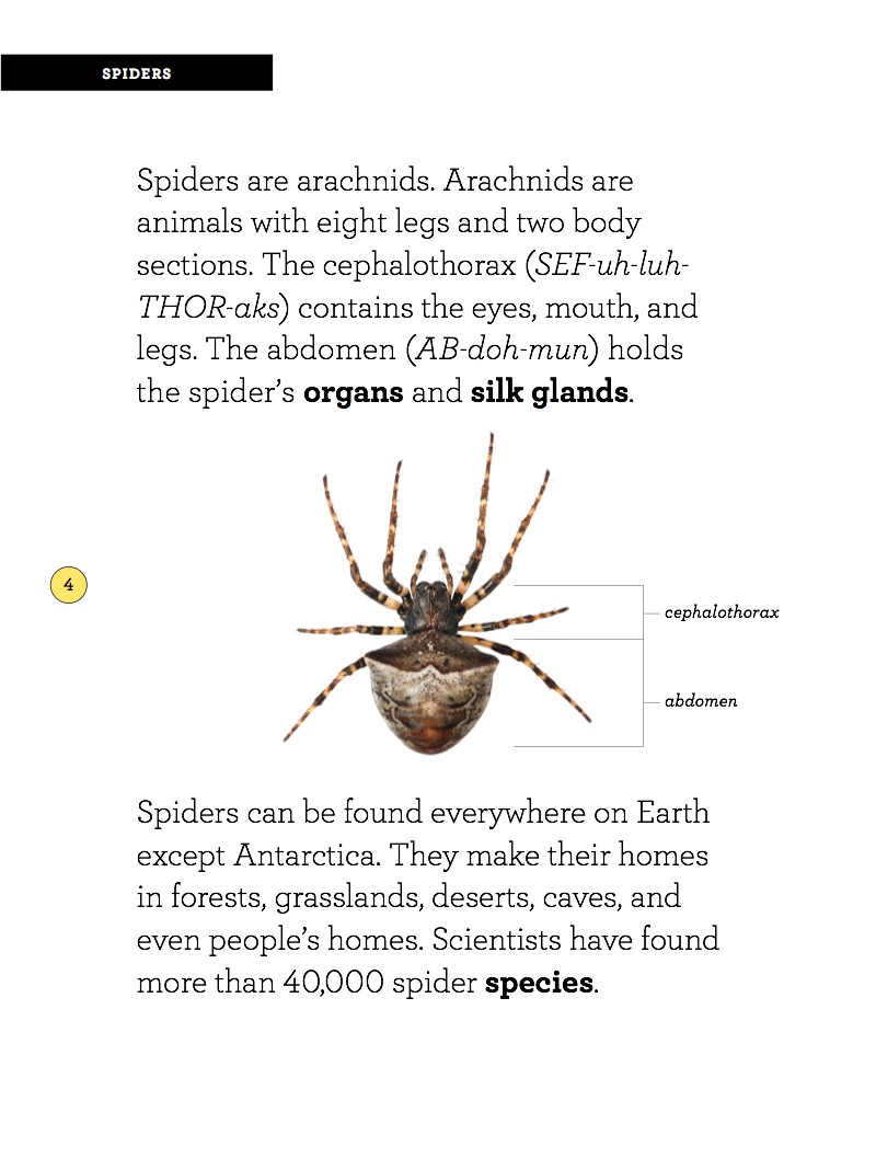 Spider — page 1