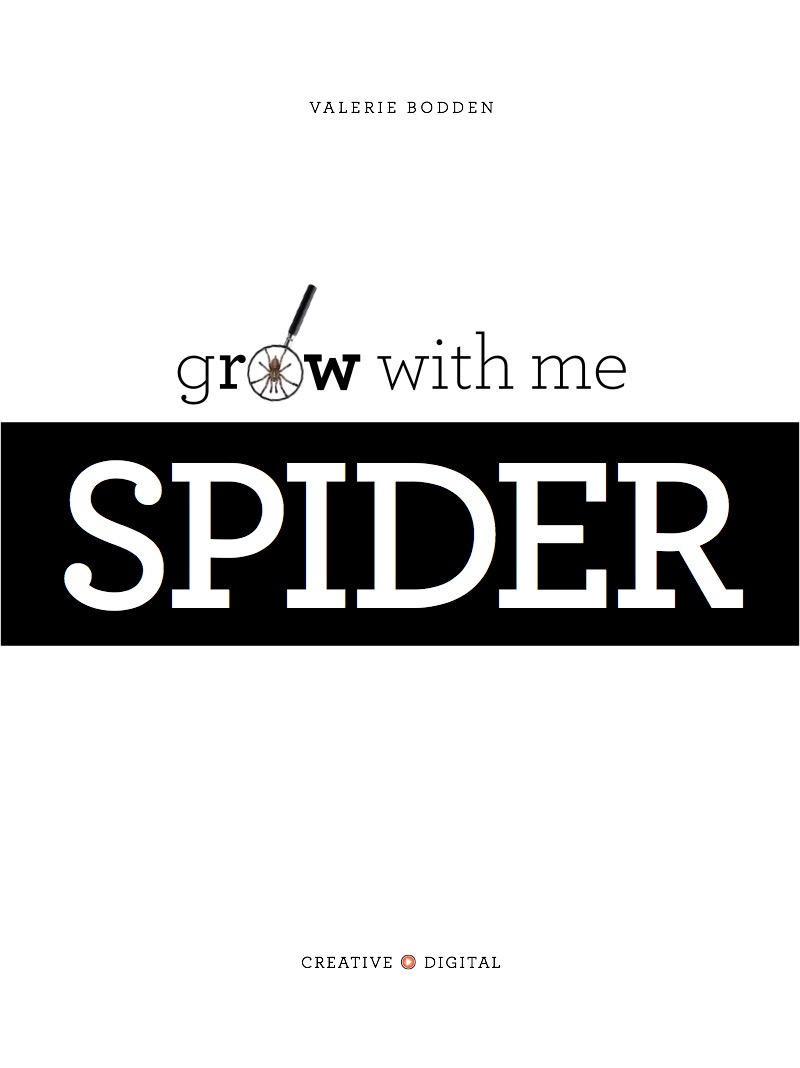 Spider book cover