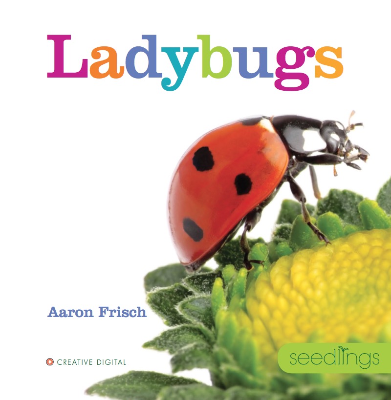 Ladybugs book cover