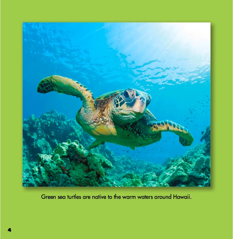 Sea Turtles and Yellow Tang Fish — page 1