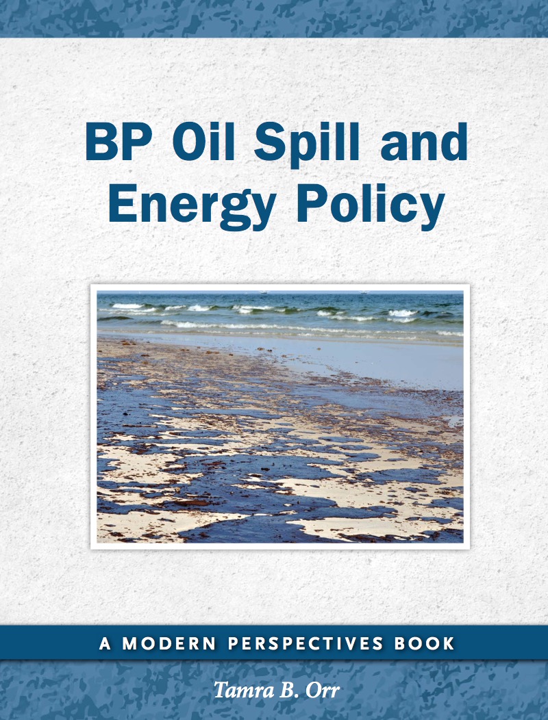 BP Oil Spill and Energy Policy book cover