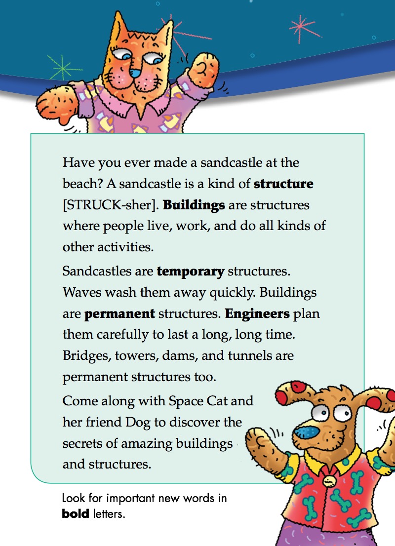 What Makes a Building Strong? book cover