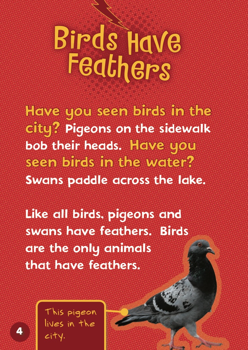Do You Know about Birds? — page 1