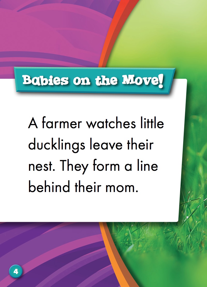 Animals on the Farm: Ducks — page 1