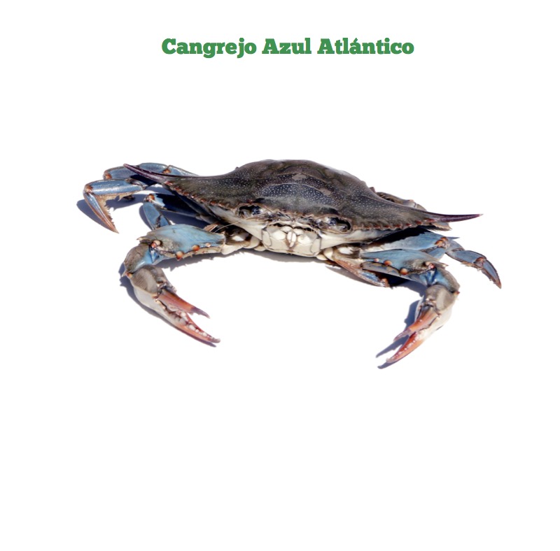 Cangrejos — page 1