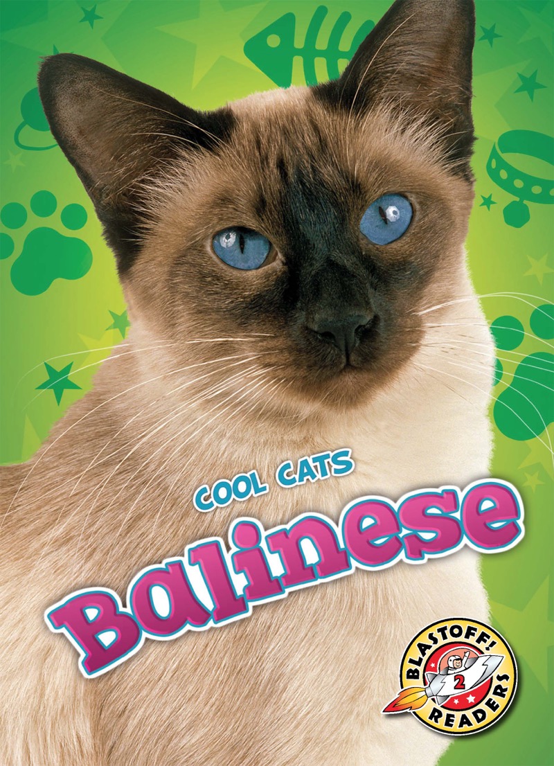 Balinese book cover