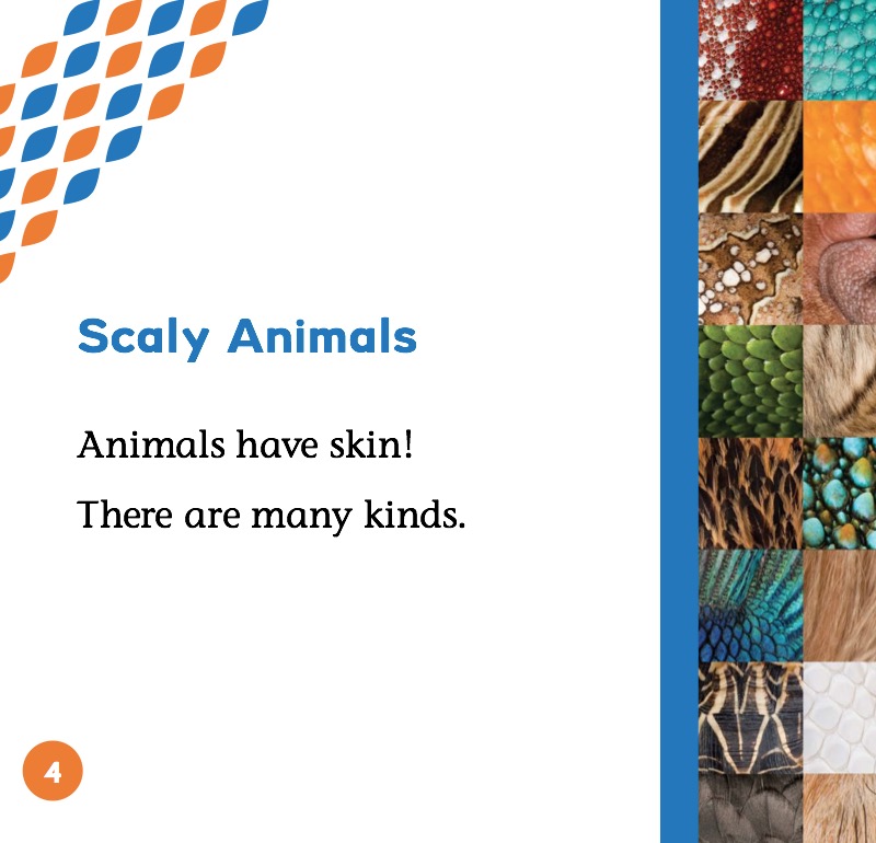 Scaly & Spiky Animals — page 1