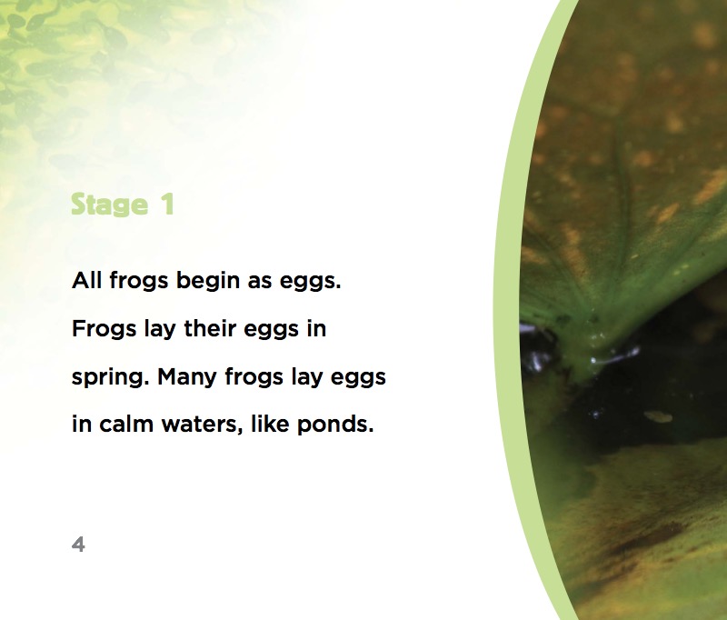 Becoming a Frog — page 1