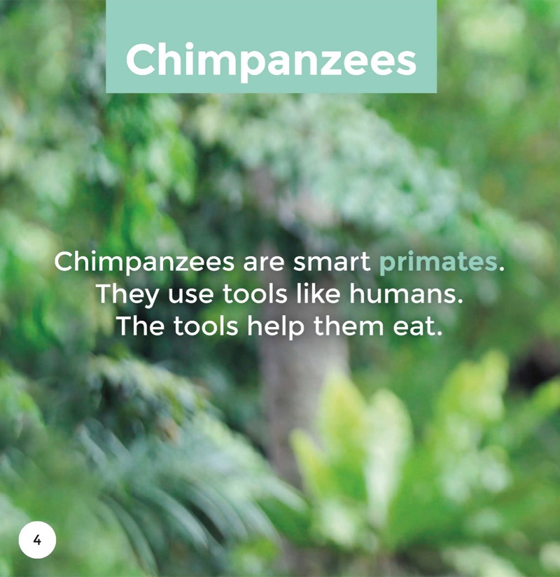 Chimpanzees — page 1