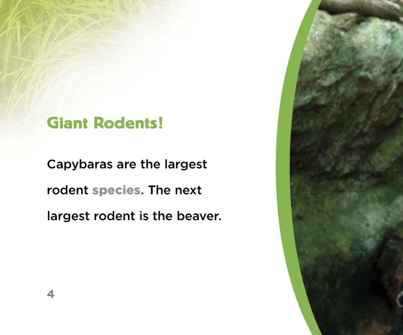 Capybaras — page 1