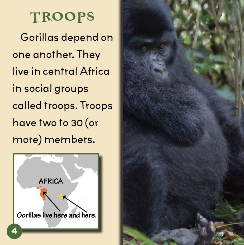 Social Lives of Gorillas — page 1