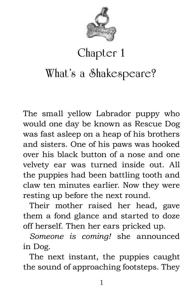 Rescue Pup book cover