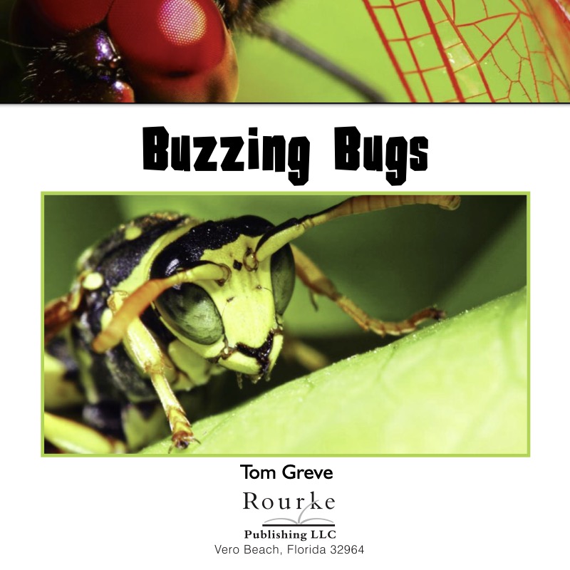 Buzzing Bugs book cover