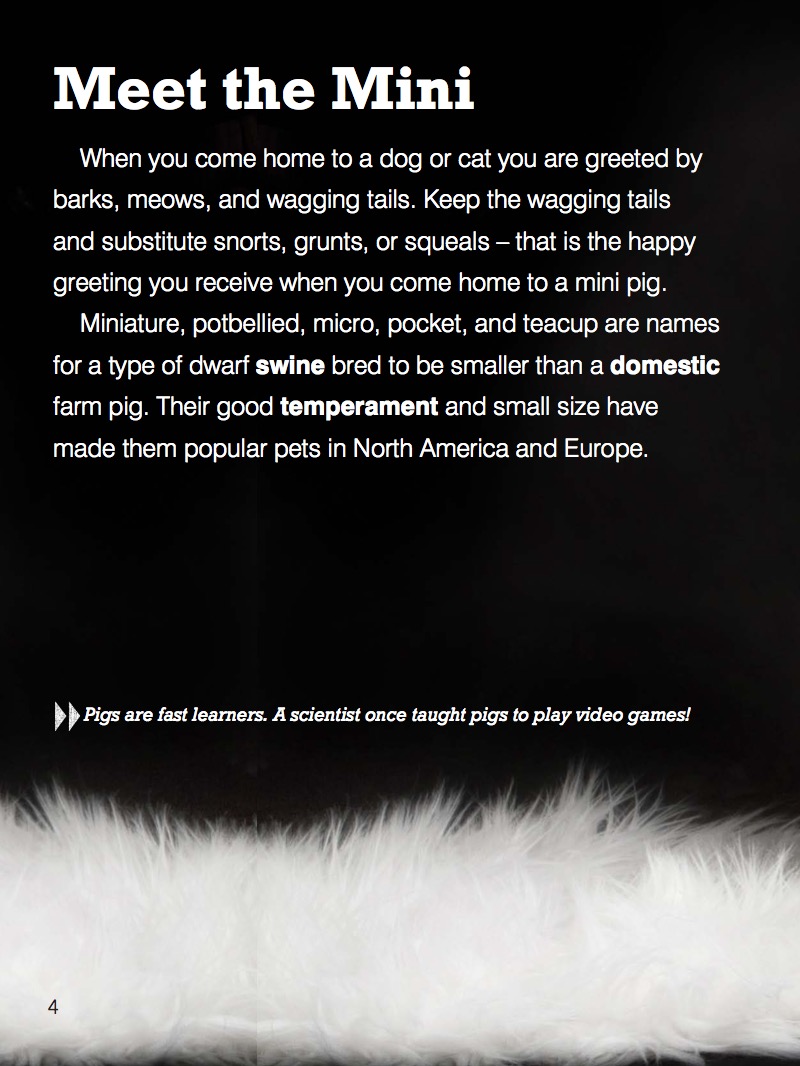 Mini Pig — page 1