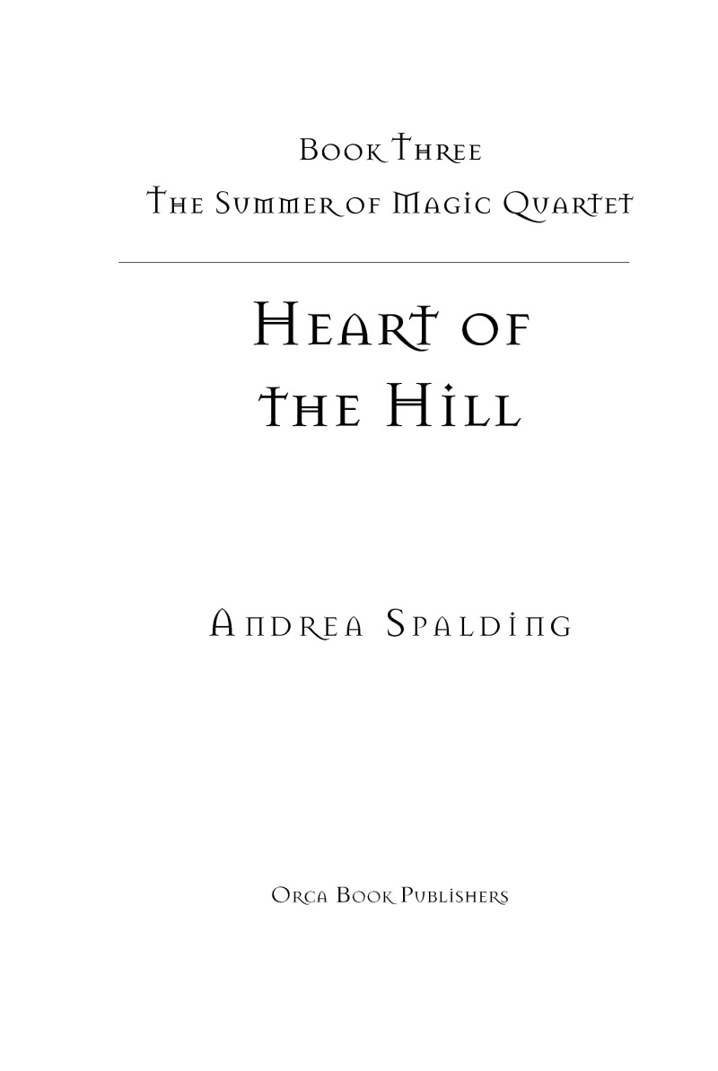 Heart of the Hill book cover