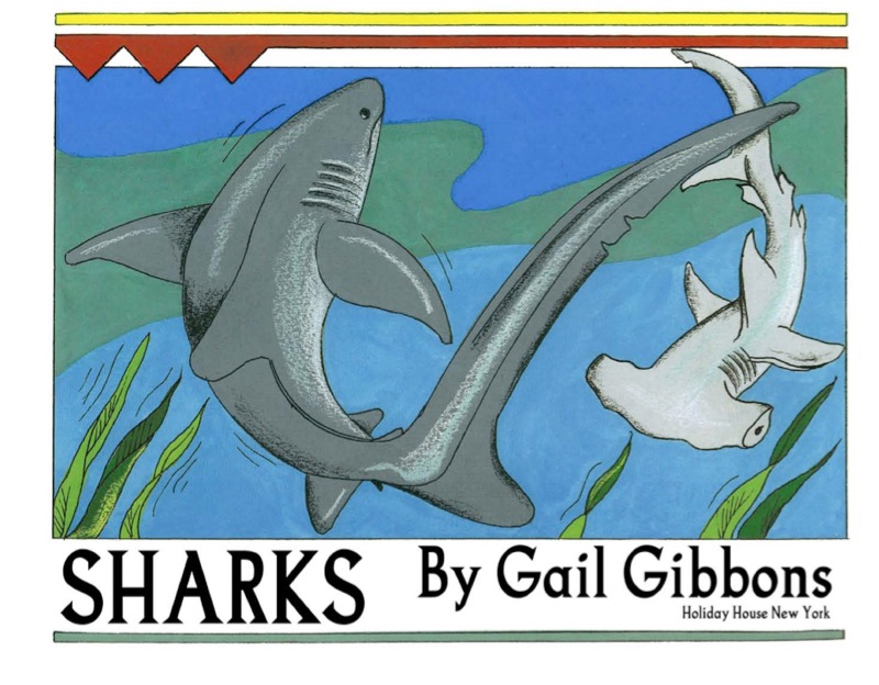 Sharks book cover