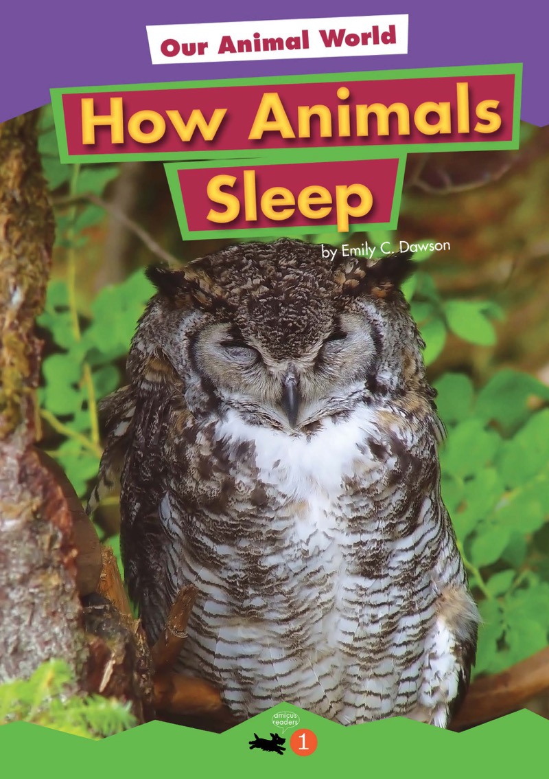 How Animals Sleep book cover