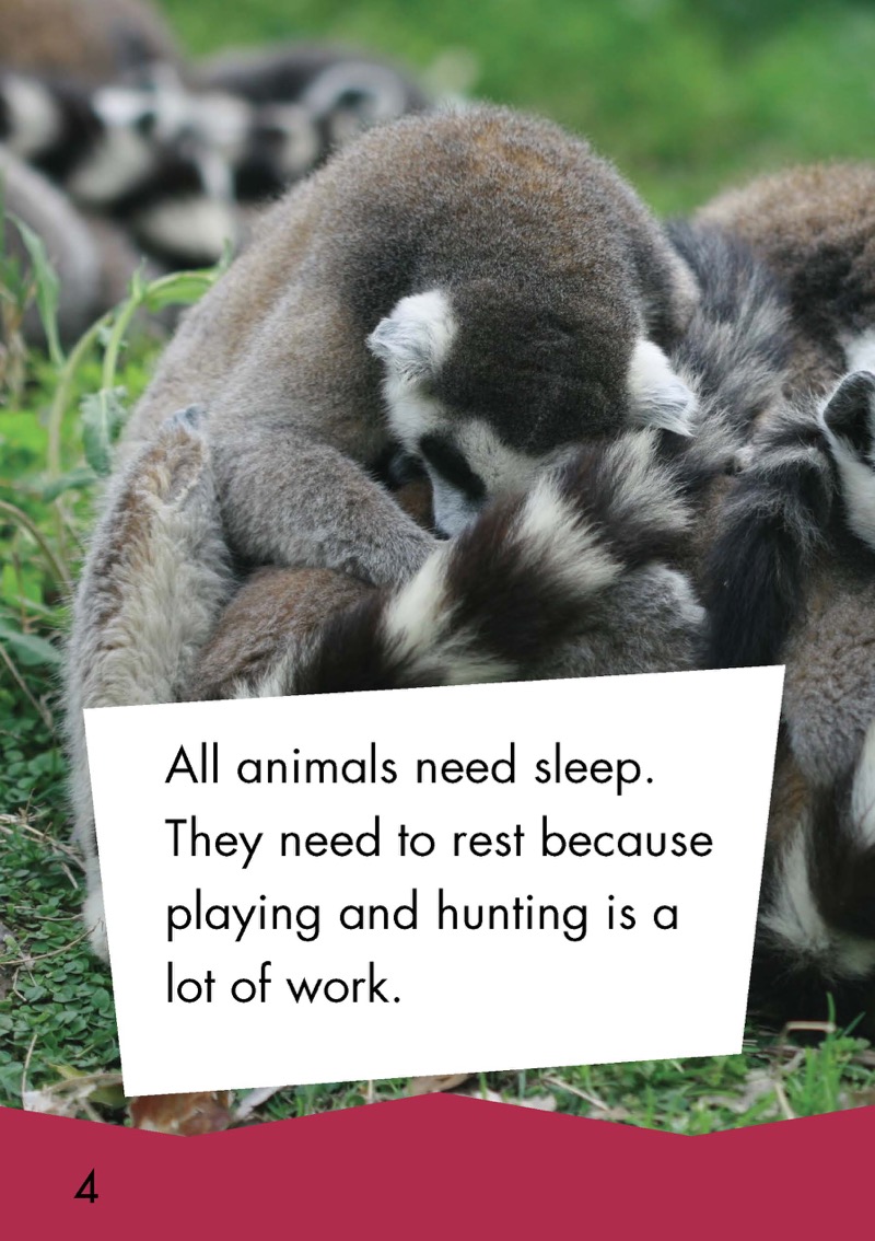 How Animals Sleep — page 1