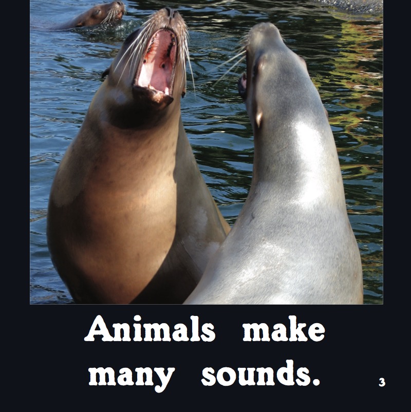 Howl, Growl, Mooo, Whooo, A Book of Animal Sounds book cover