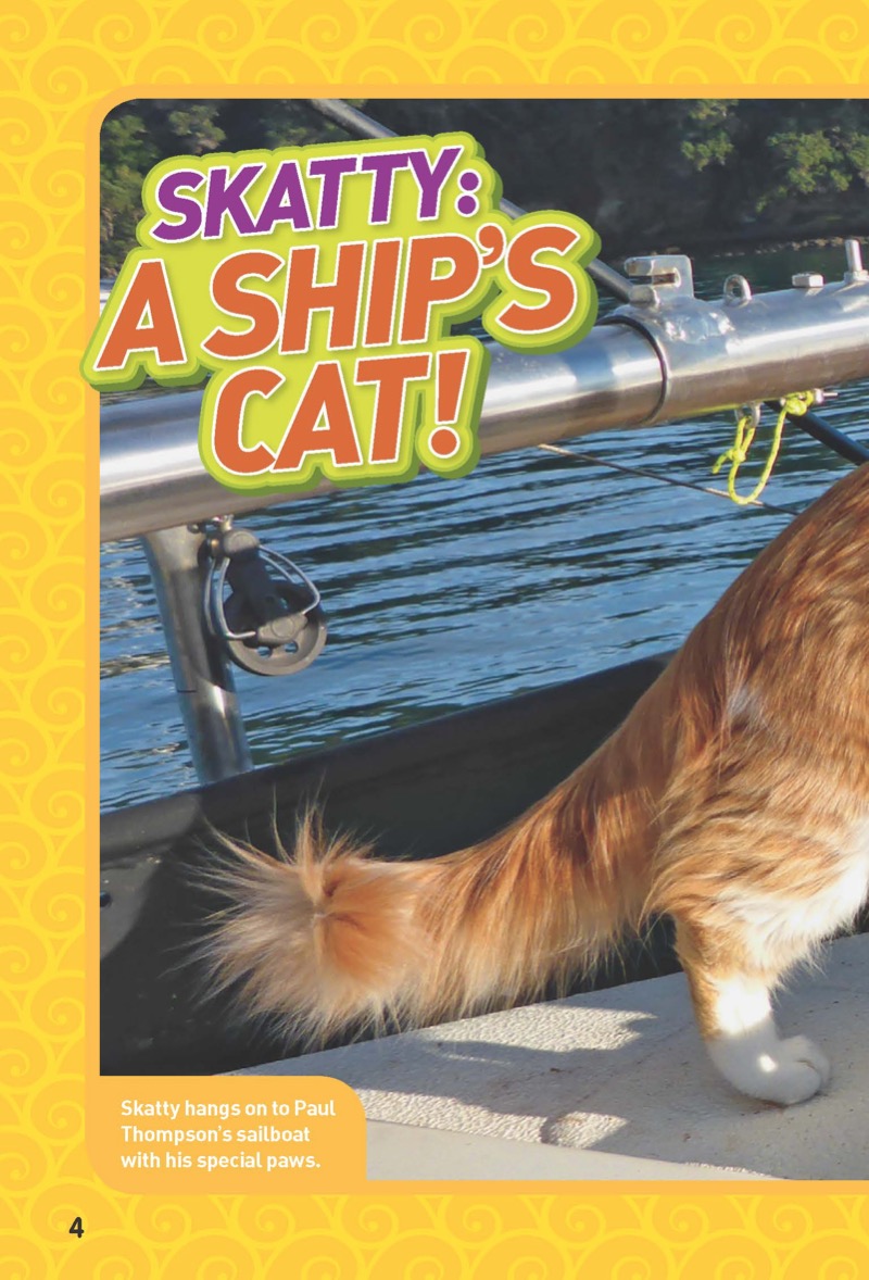 National Geographic Kids Chapters: Adventure Cat! — page 1