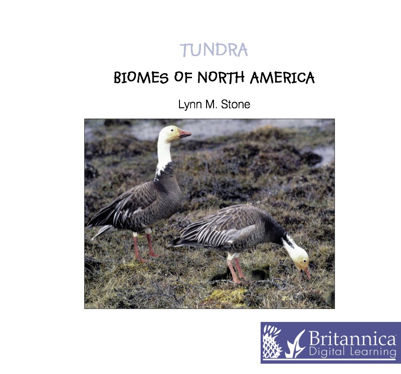 Tundra book cover