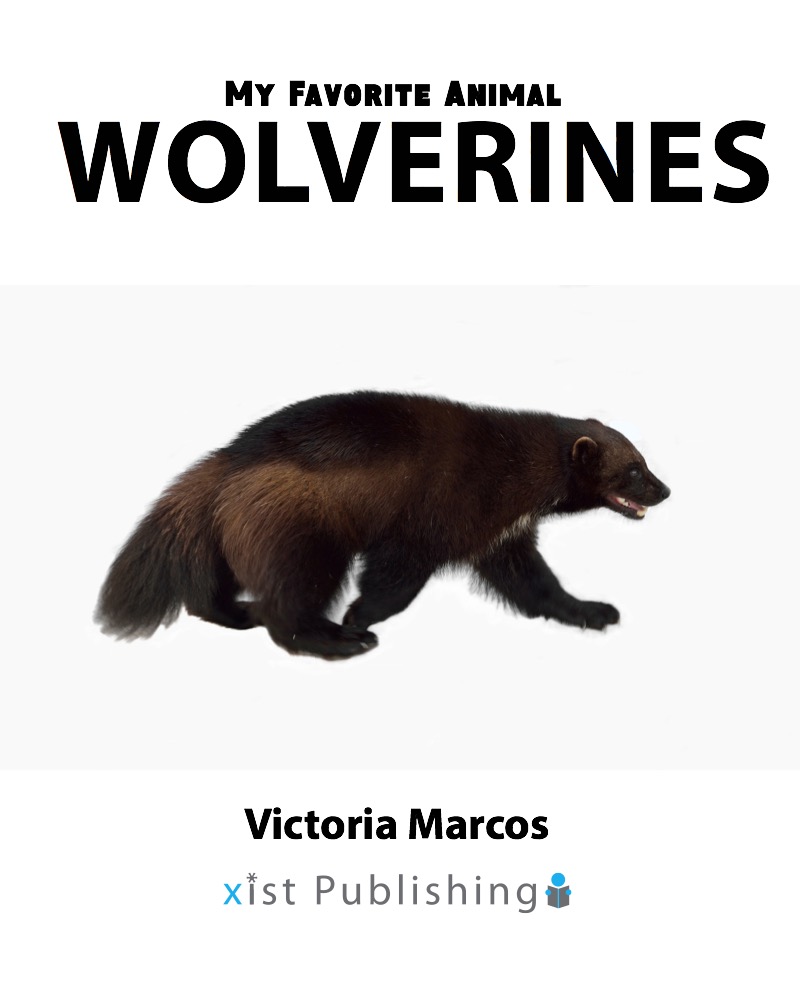 My Favorite Animal: Wolverines book cover