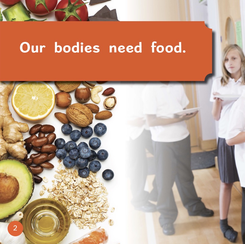 Where Does Food Come From? — page 1