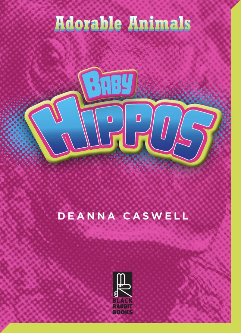 Baby Hippos book cover