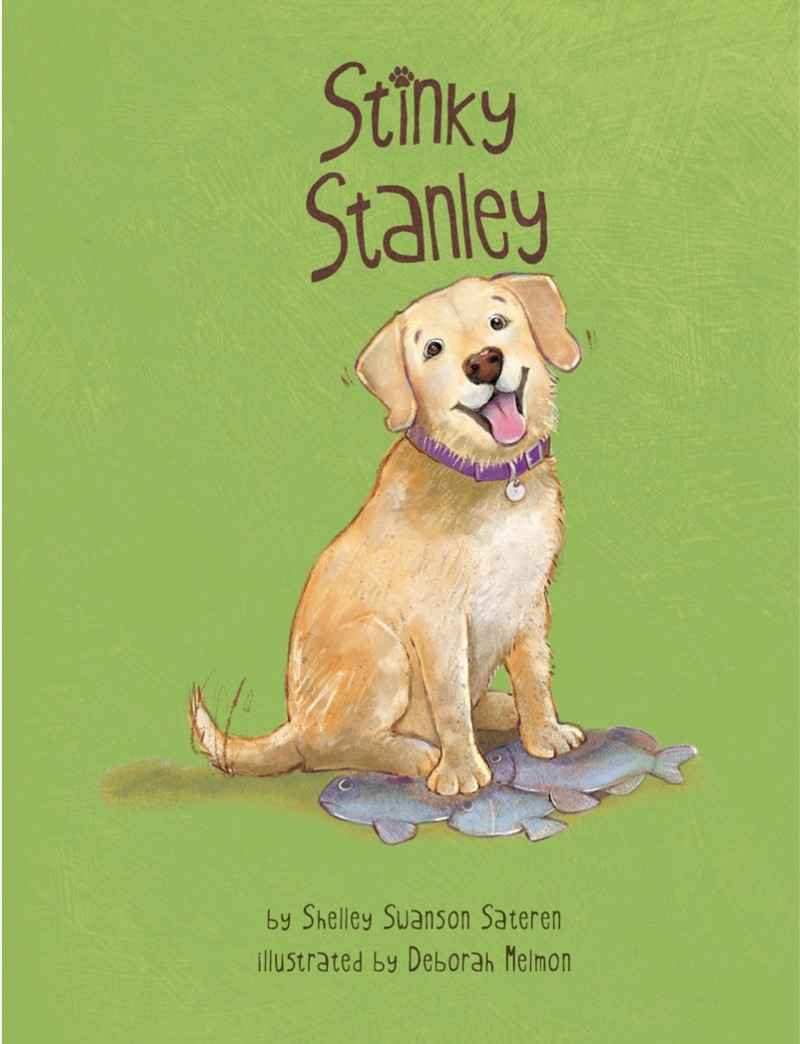 Stinky Stanley book cover
