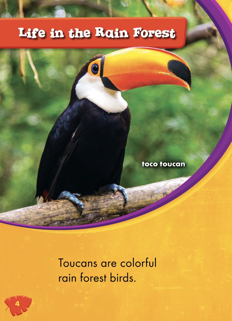 Toucans — page 1