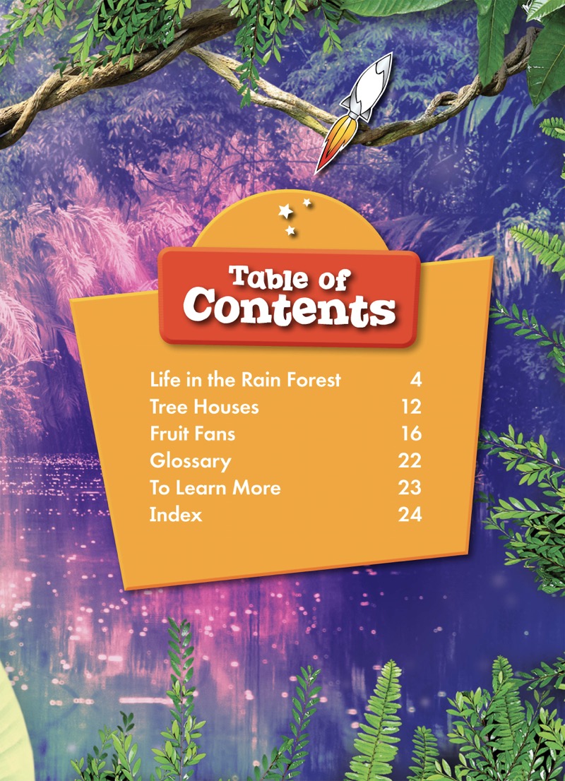 Toucans book cover