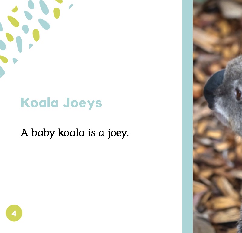 Koala Joeys — page 1