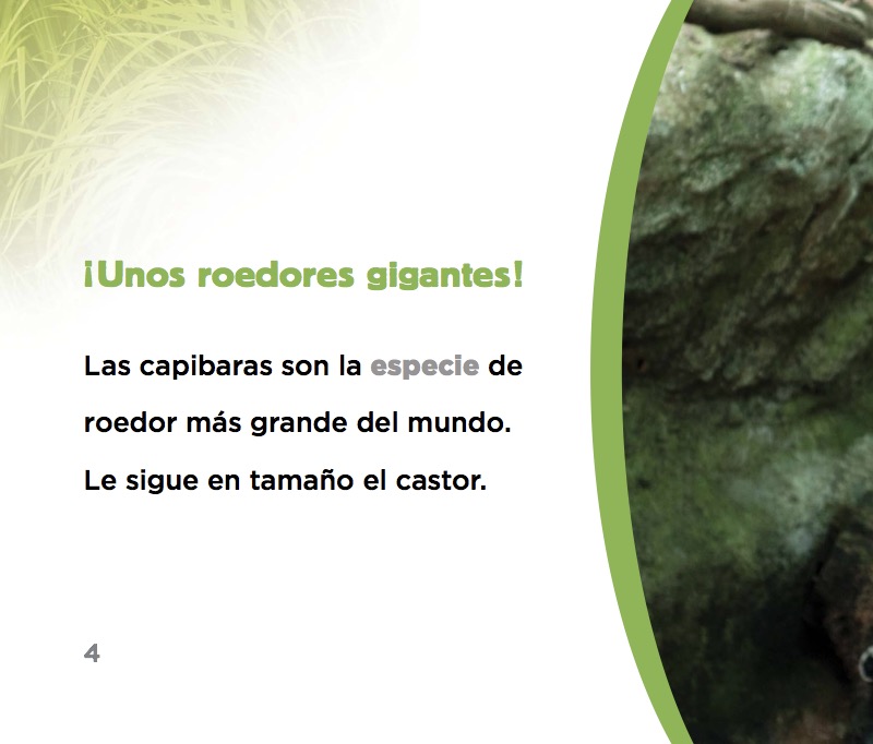 Capibaras — page 1