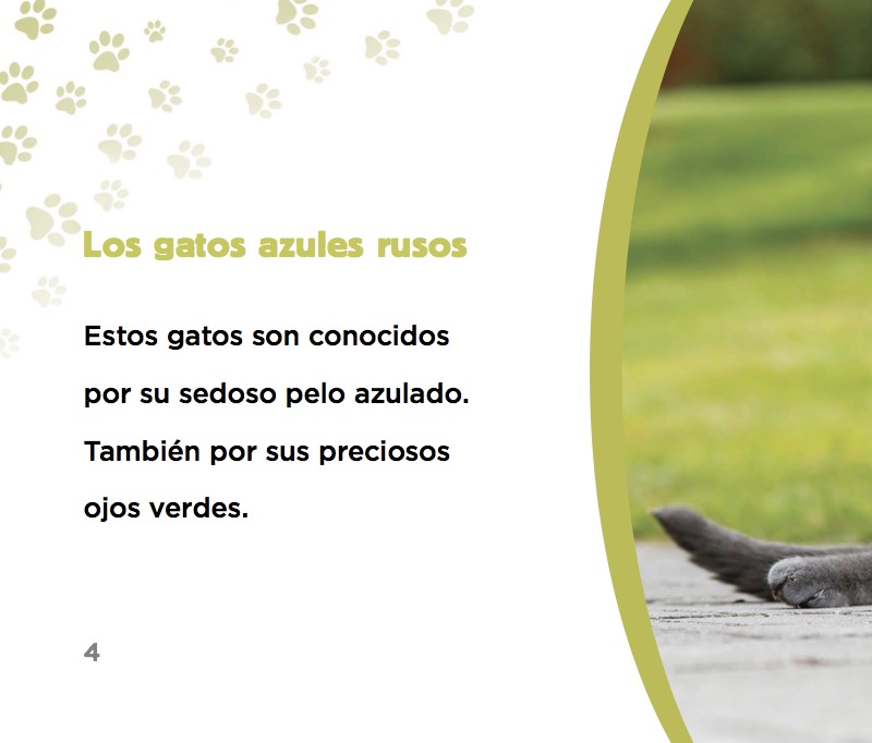 Gato azul ruso — page 1