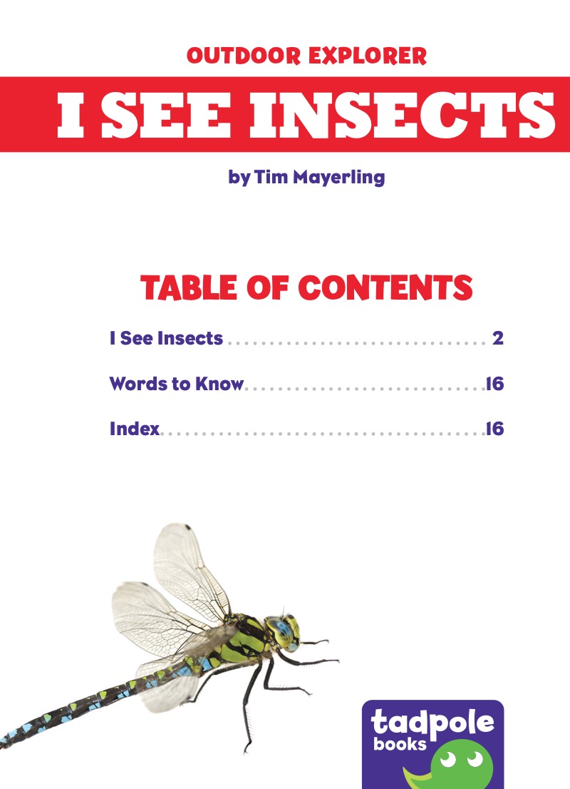 I See Insects book cover