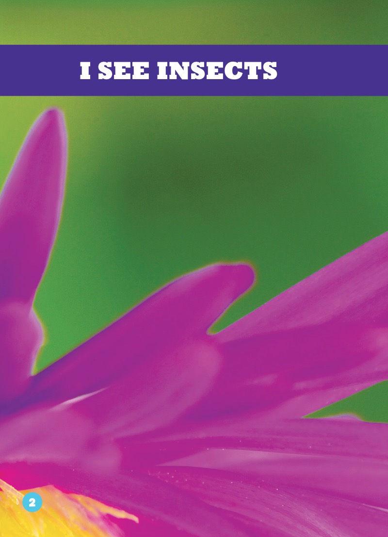 I See Insects — page 1
