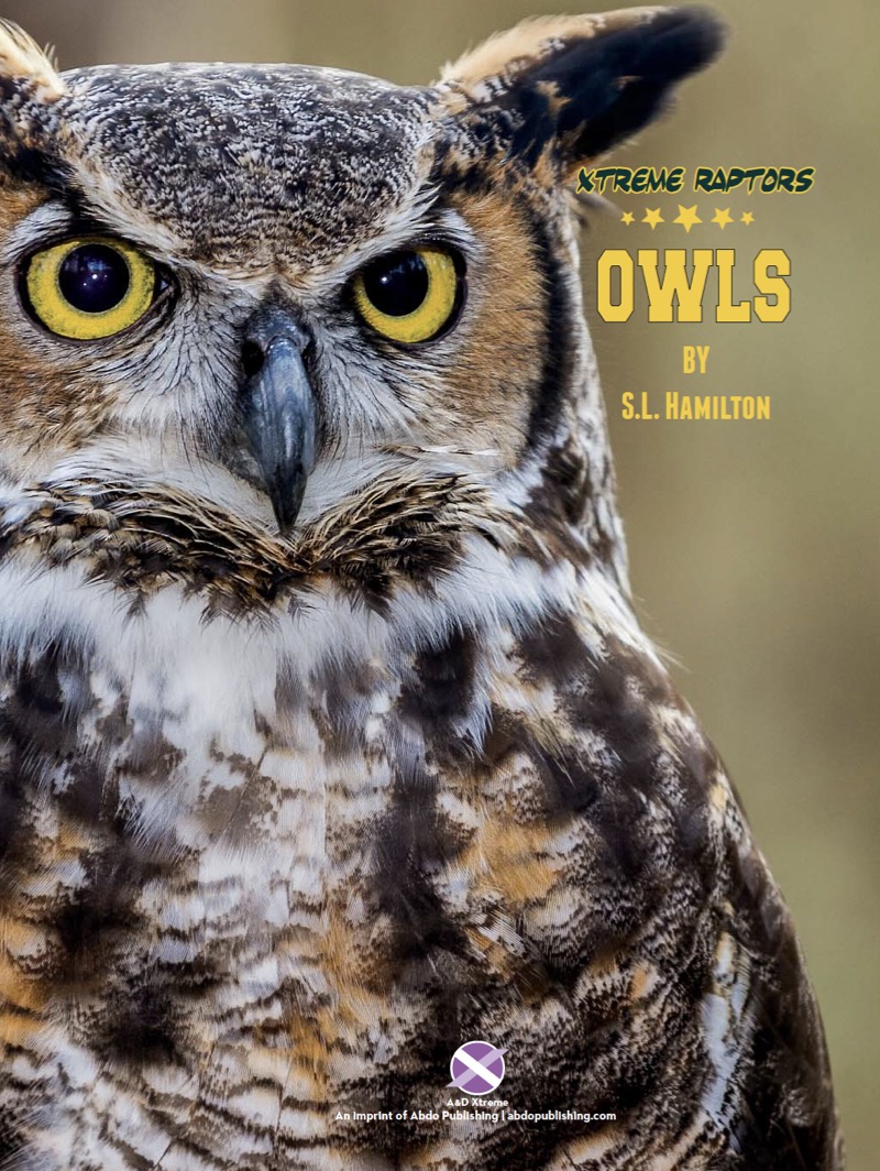 Owls book cover
