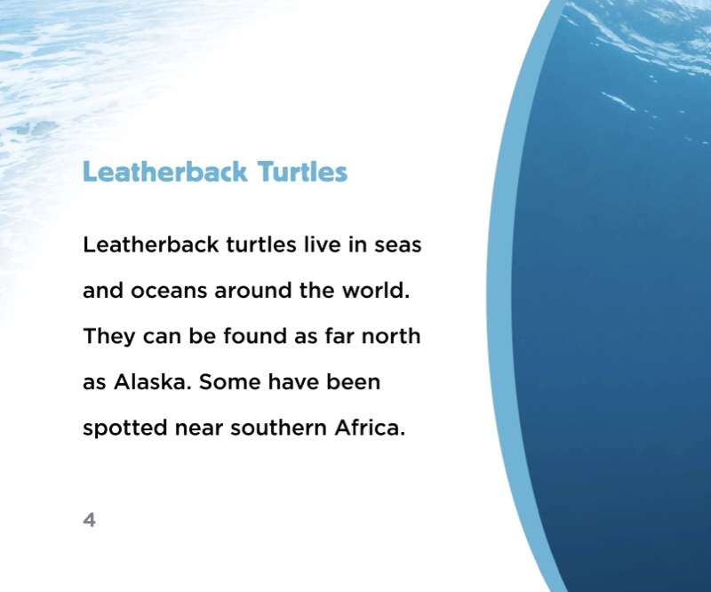 Leatherback Turtle Migration — page 1