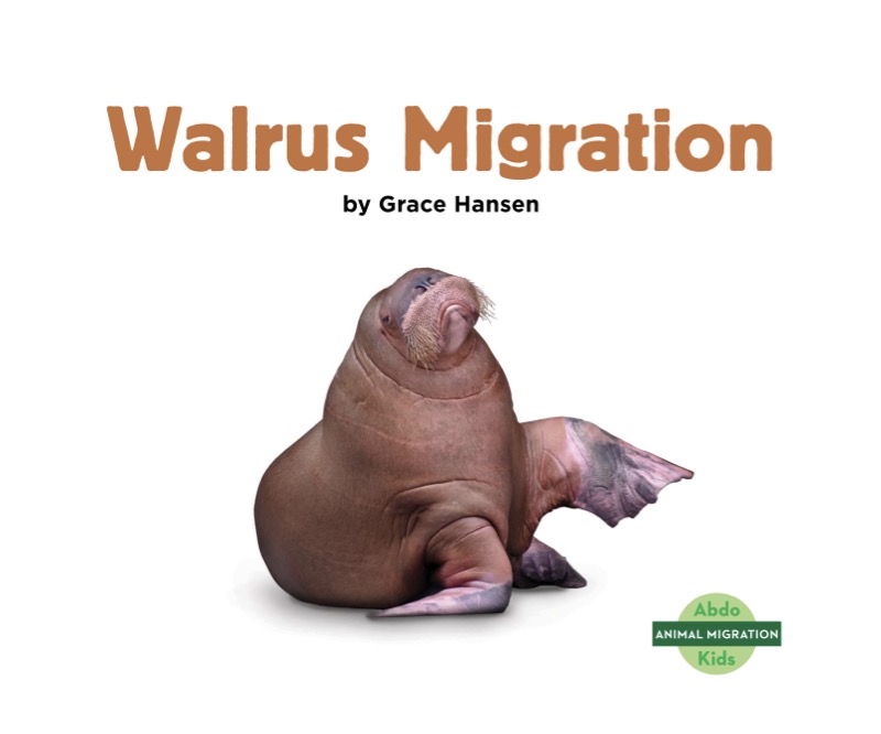 Walrus Migration book cover