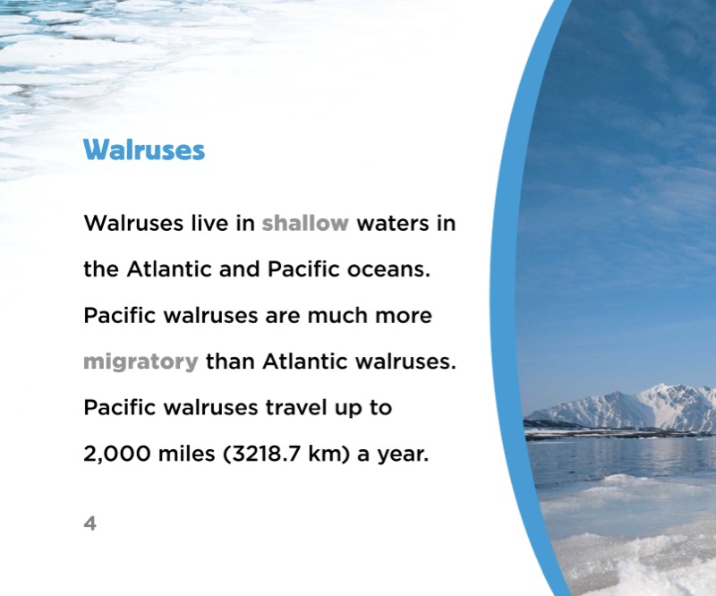 Walrus Migration — page 1