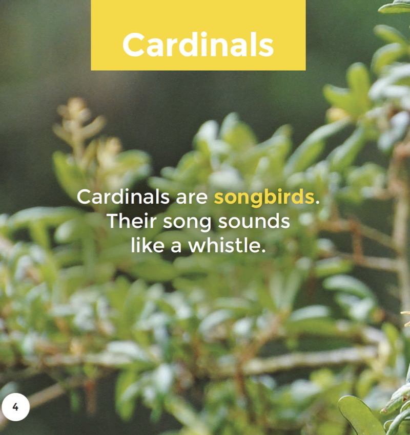 Cardinals — page 1