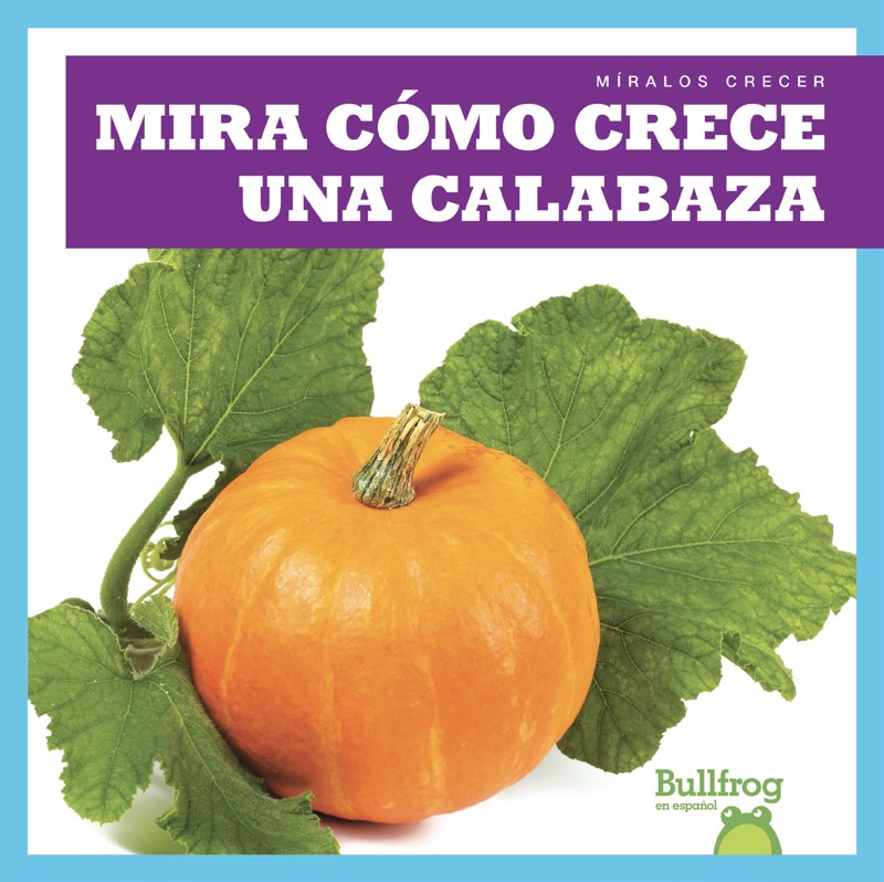 Mira cómo crece una calabaza (Watch a Pumpkin Grow) book cover