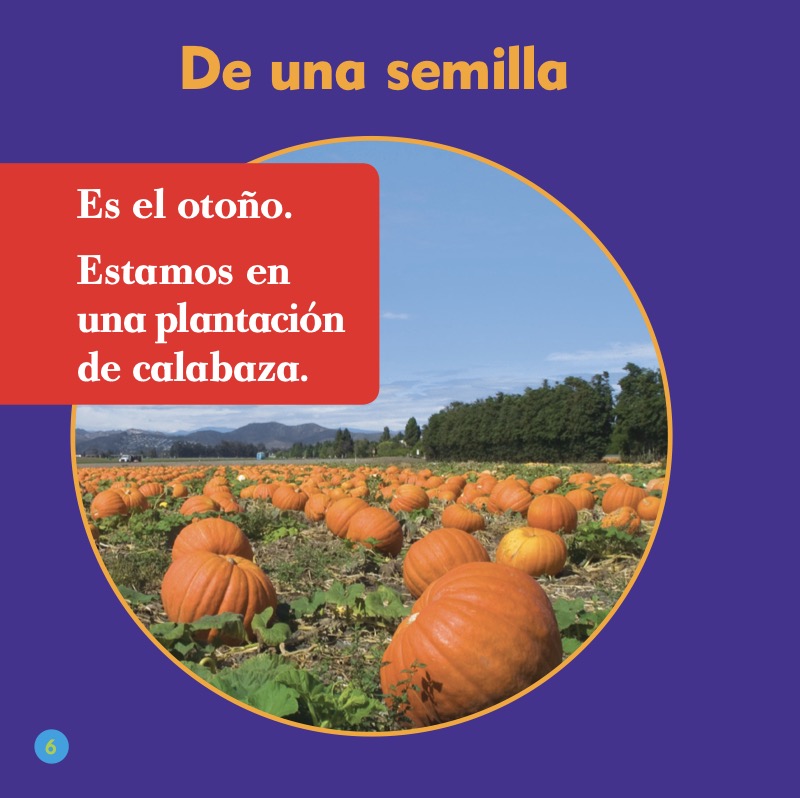 Mira cómo crece una calabaza (Watch a Pumpkin Grow) — page 1